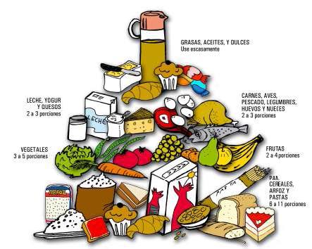 Pirámide alimenticia