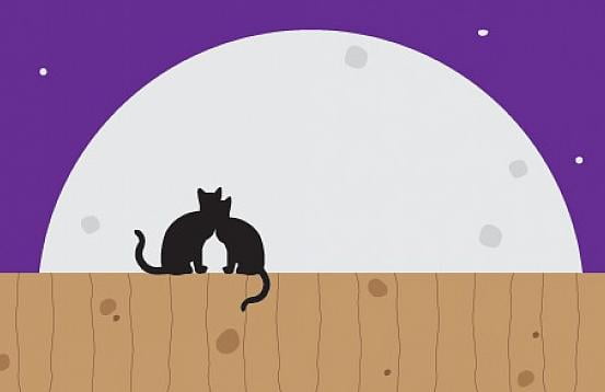 El señor Don Gato